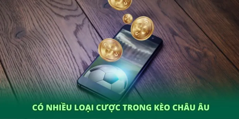 Có nhiều loại cược trong kèo châu Âu