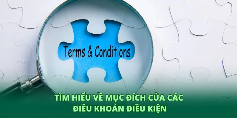 Tìm hiểu về mục đích của các điều khoản điều kiện